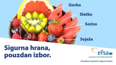 01_1200x675px_Page_04_efsa