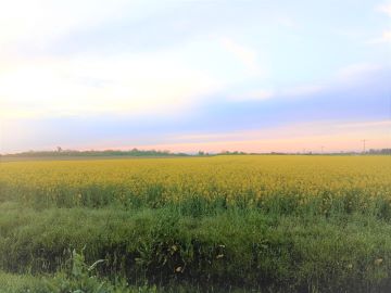IMG_20210430_193449a