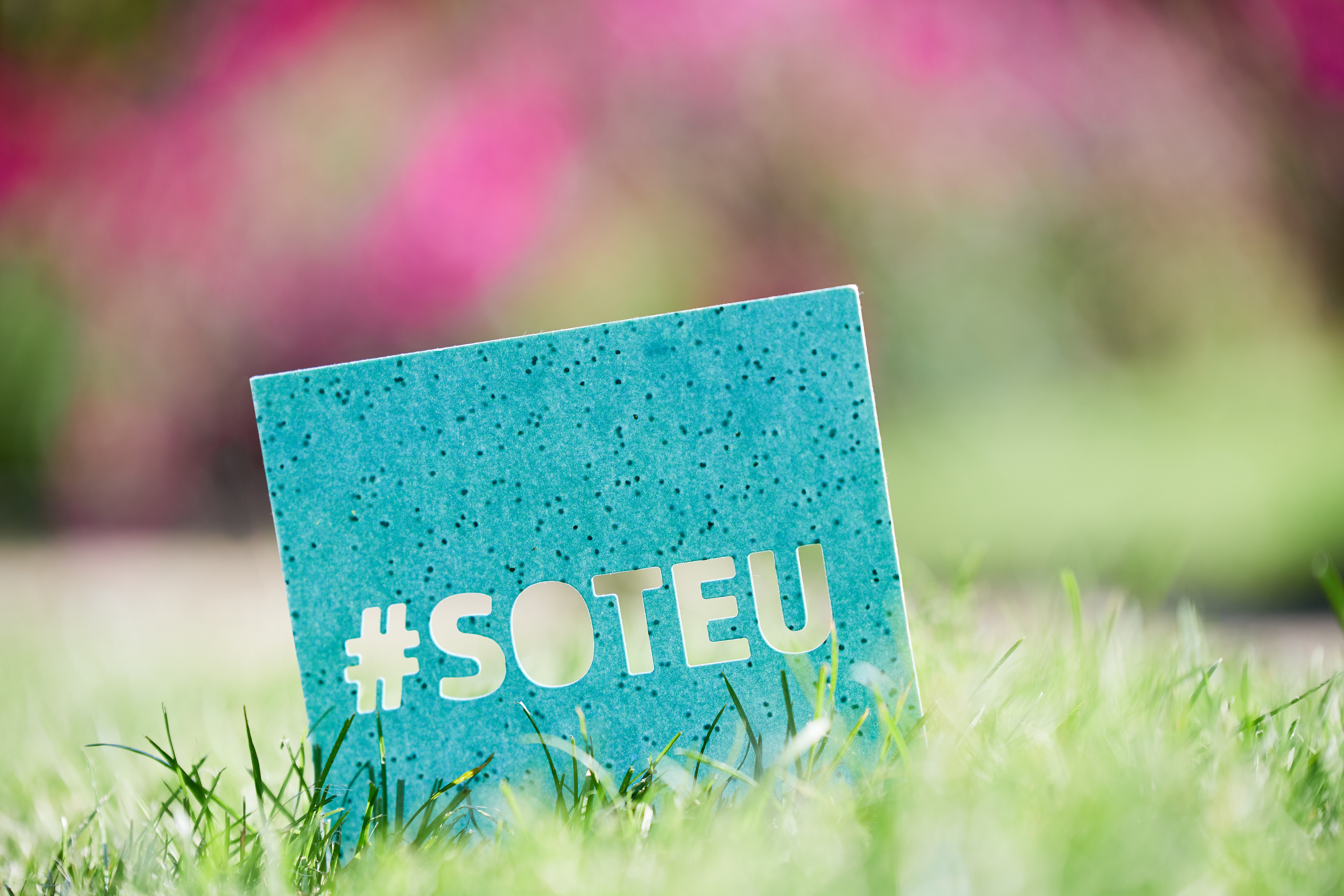 soteu foto